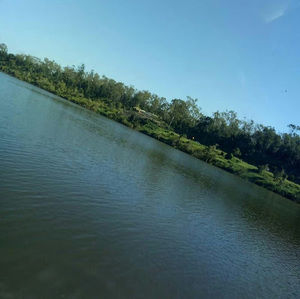 Meet your Posher, Hazel